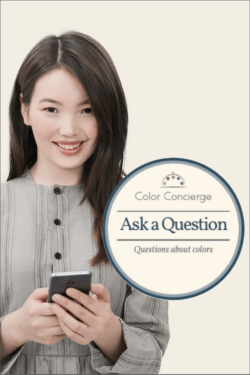 Online Color Consulting Ask a Question service