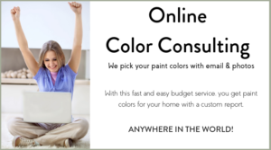 On Line Color Consulting 1 300x167 