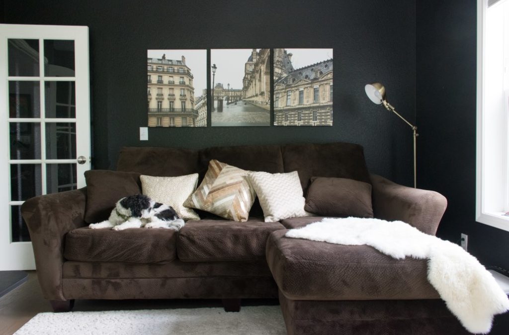 Black den with Paris Prints and puppy.