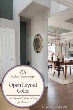 Open Layout Color