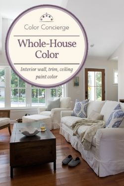 Whole House (One Color)