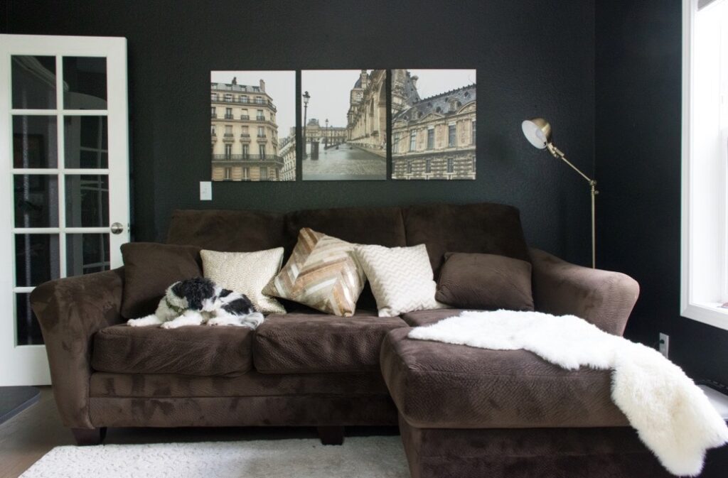 Benjamin Moore Onyx paint color review