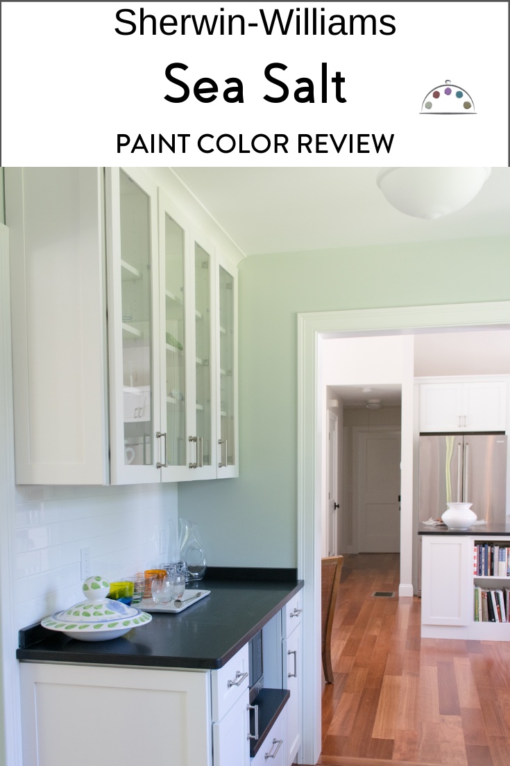 SW Sea Salt Paint Color Review