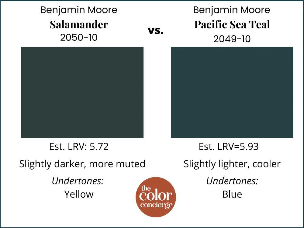 BM Salamander vs BM Pacific Sea Teal