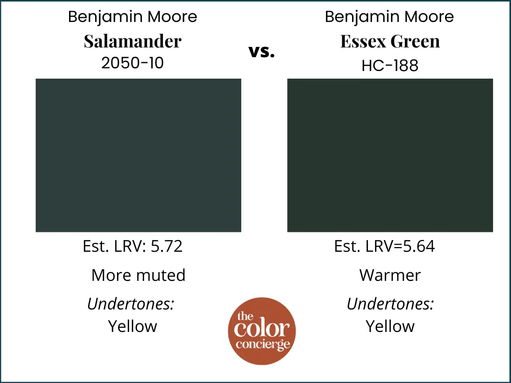 BM Salamander vs BM Essex Green