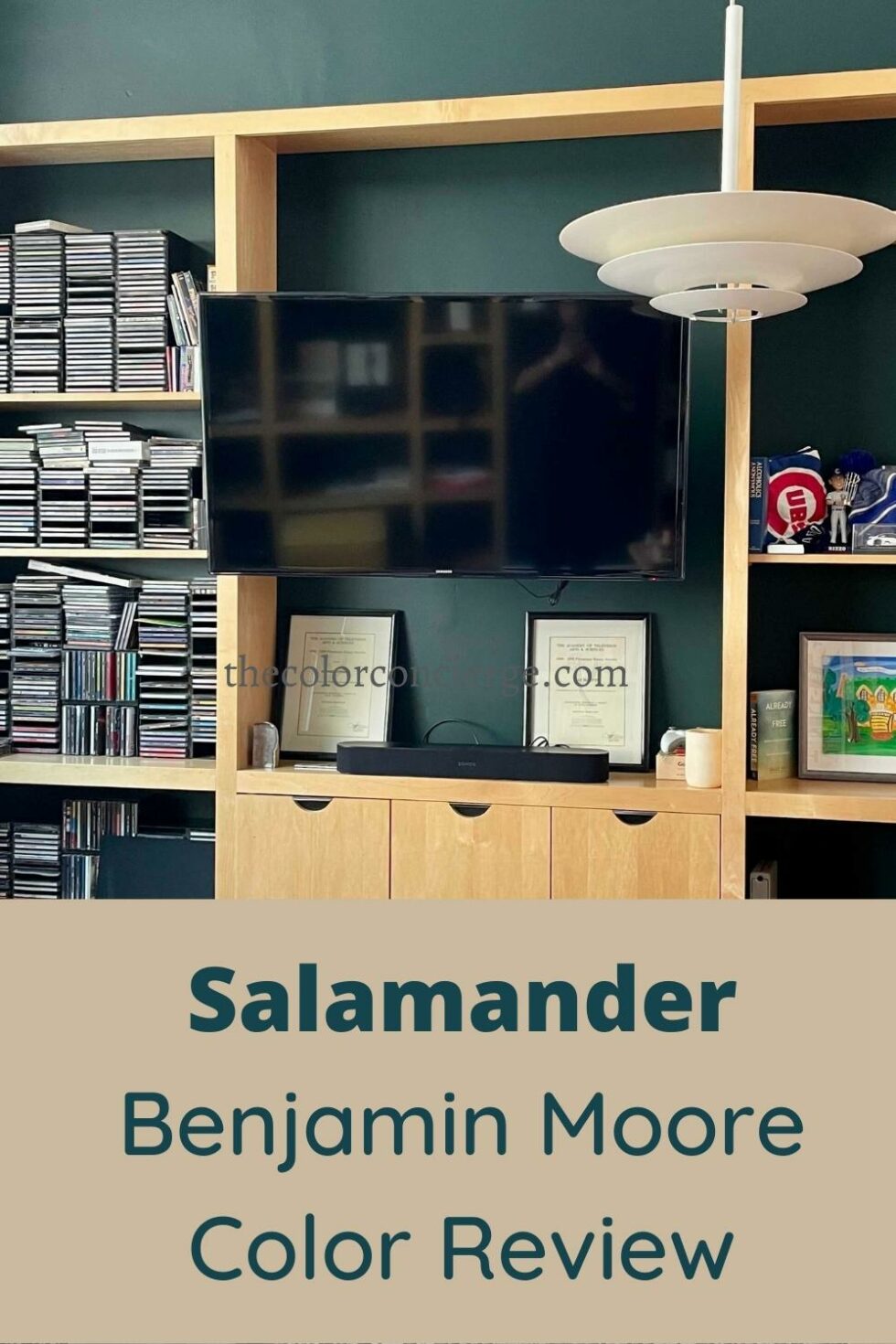 Benjamin Moore Salamander Color Review
