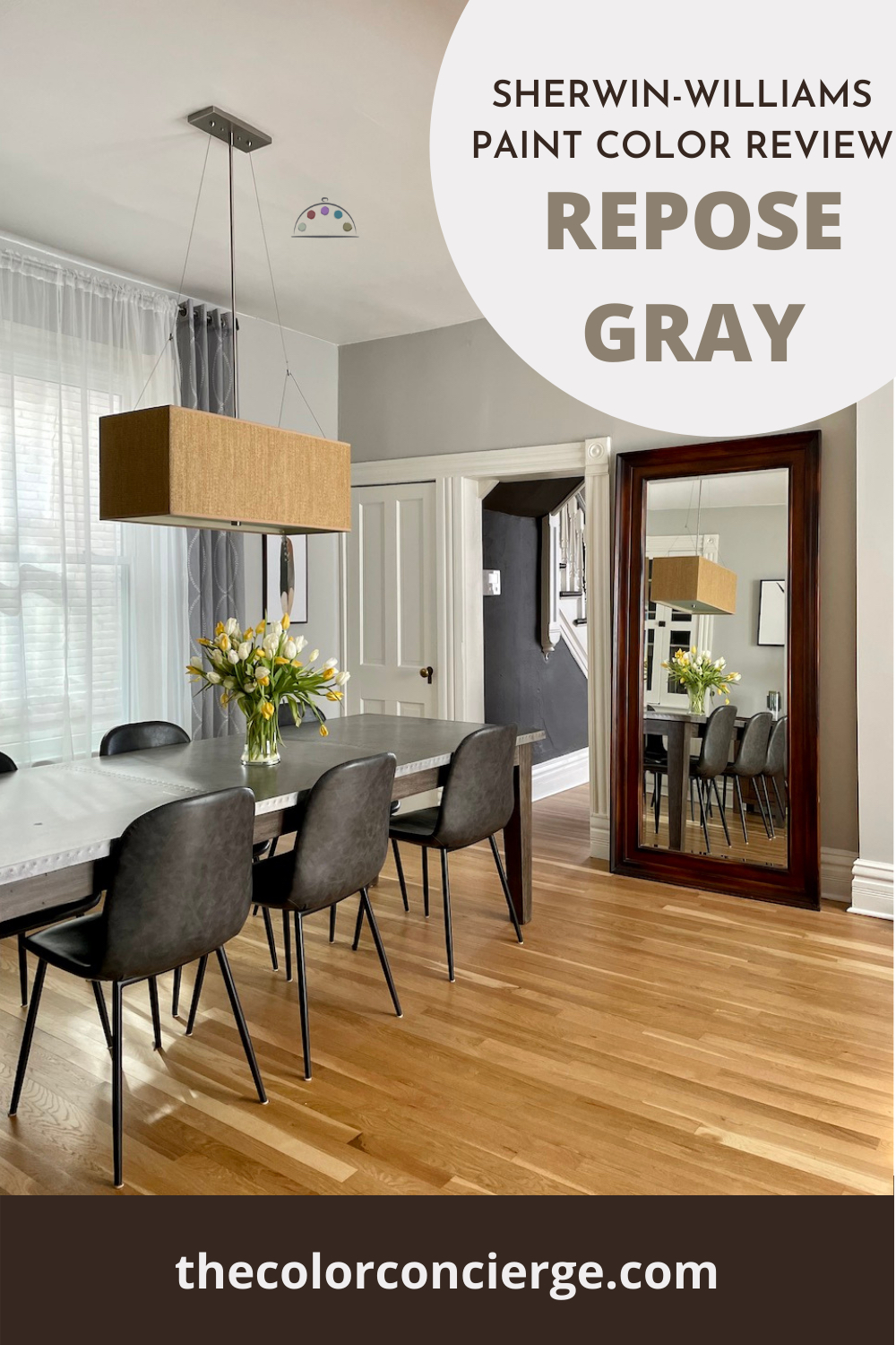 Sherwin Williams Repose Gray Color Review