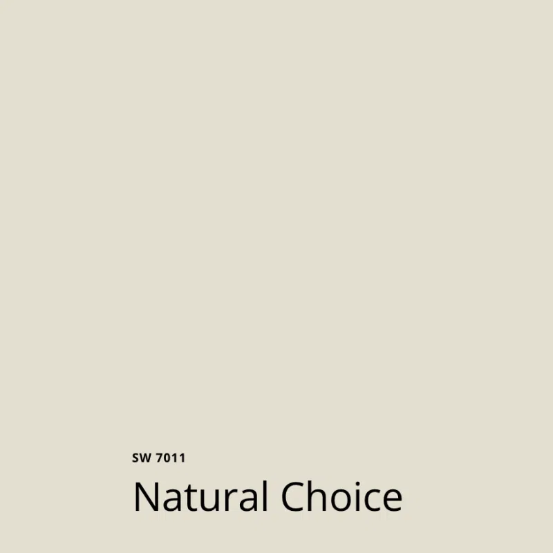 A SW Natural Choice color swatch