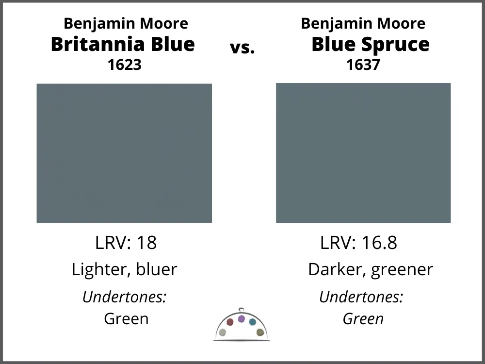 Britannia Blue Vs. Blue Spruce