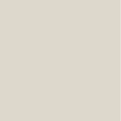 A Benjamin Moore Pale Oak  paint color swatch