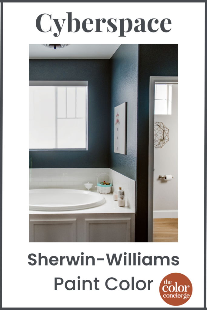 Cyberspace Sherwin Williams paint color