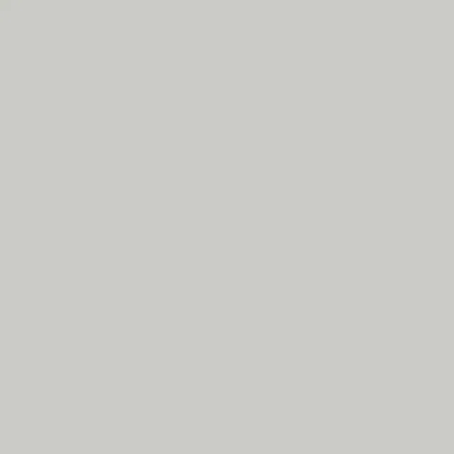 Stonington Gray paint color swatch