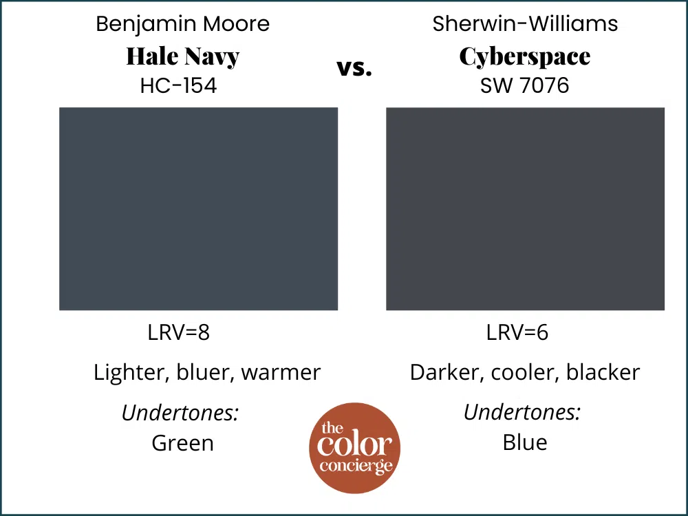 Hale Navy vs Cyberspace