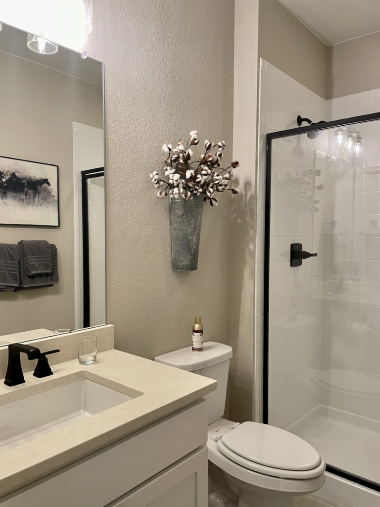 A Sherwin-Williams Accessible Beige bathroom with black accents. 