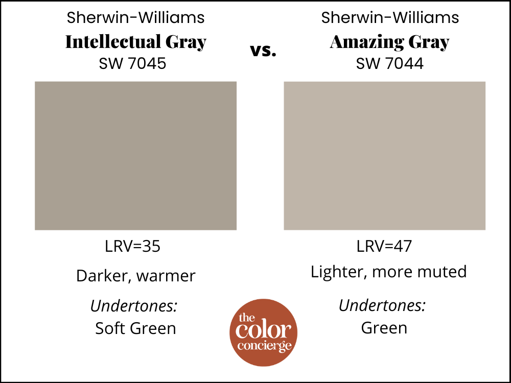 SW Intellectual Gray vs SW Amazing Gray