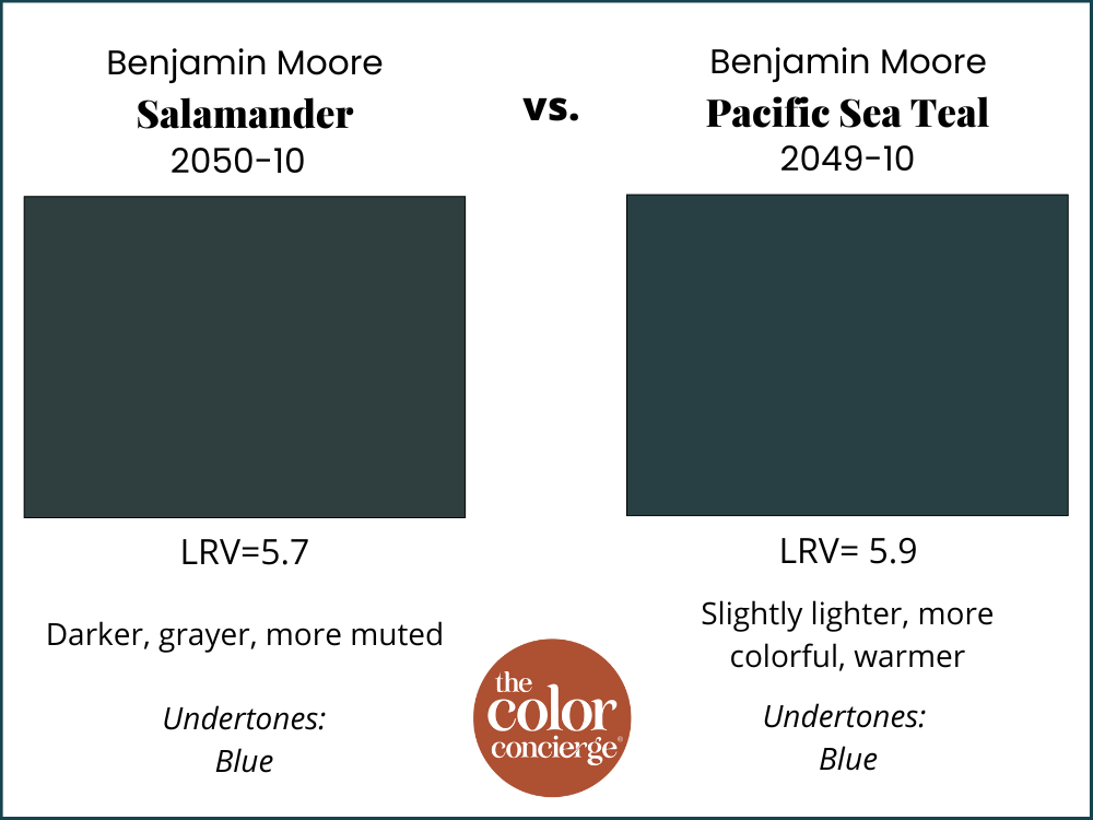 BM Salamander vs BM Pacific Sea Teal