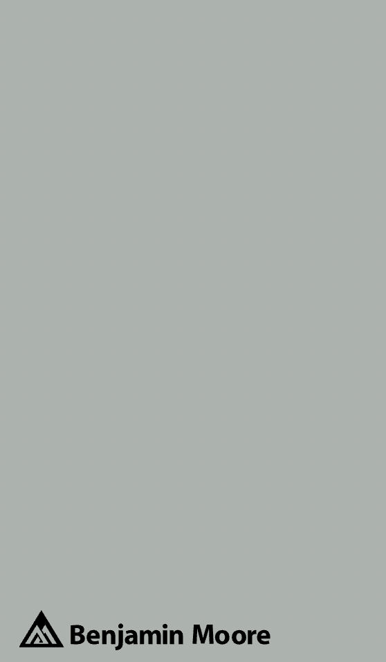 A color swatch of Benjamin Moore Boothbay Gray, one of the best blue-gray paint colors