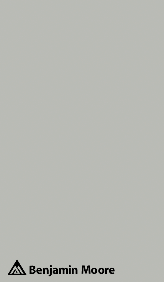 A color swatch of BM Coventry Gray, one of the best blue-gray paint colors