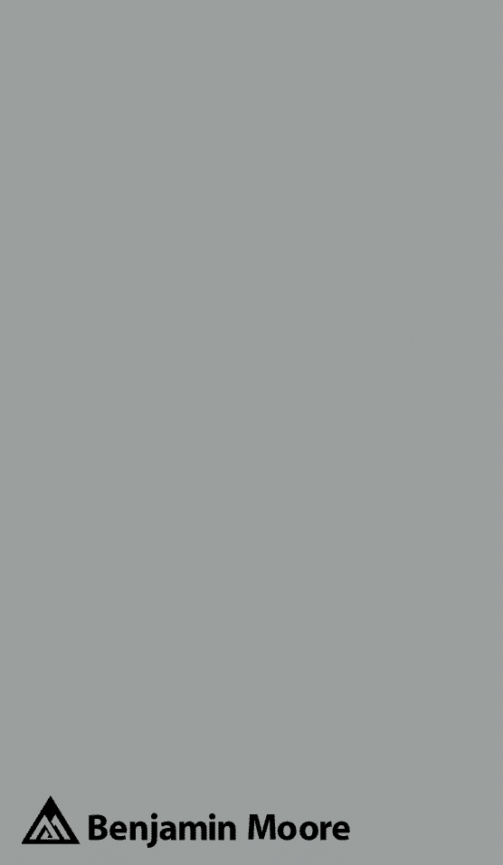 A swatch of BM Timber Wolf paint, one of the best blue-gray paint colors.