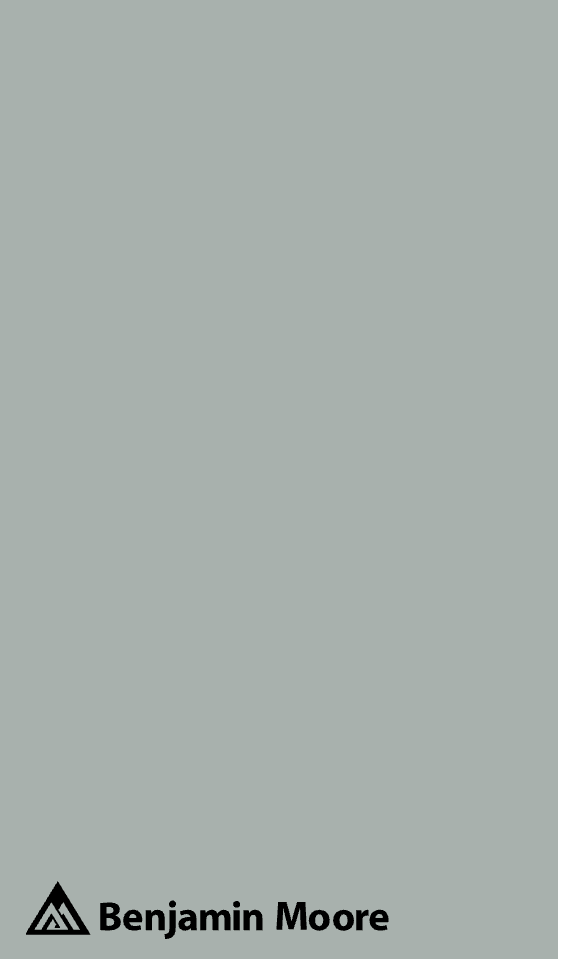 A Benjamin Moore Mount Saint Anne color swatch from Samplize.com
