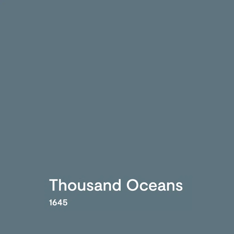 A swatch of BM Thousand Oceans paint