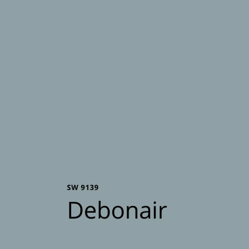 A swatch of SW Debonair paint