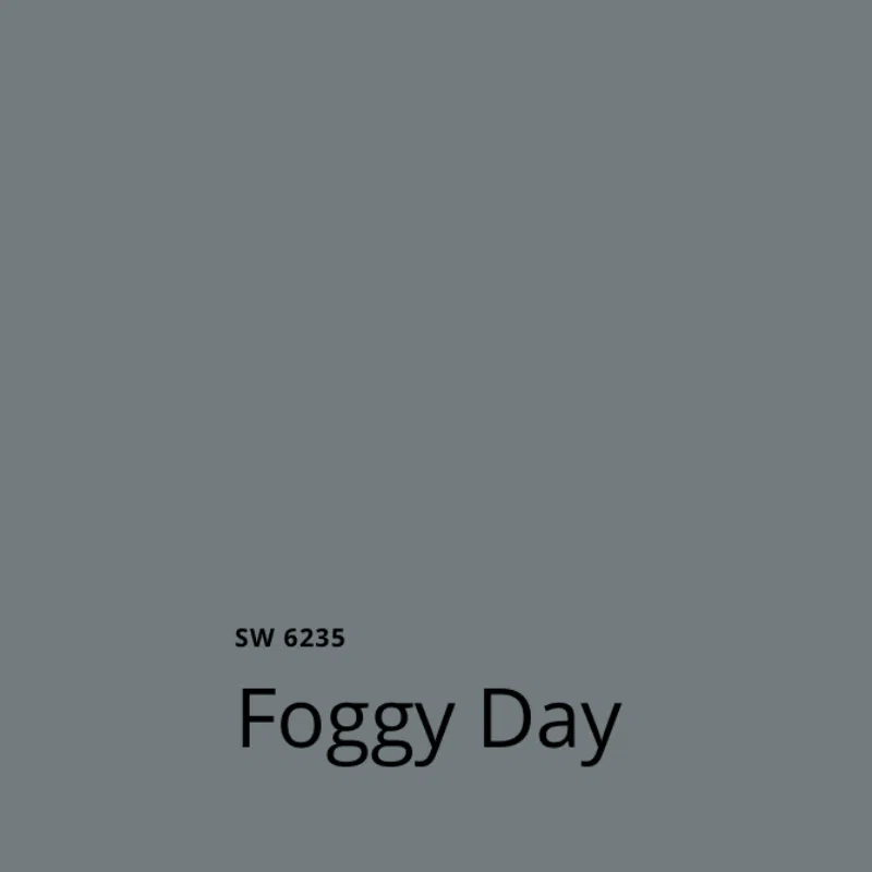 A swatch of SW Foggy Day paint