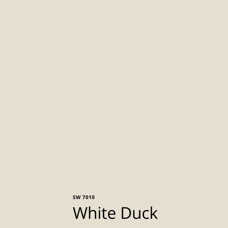 A swatch of Sherwin-Williams White Duck paint, a creamy light greige paint color.