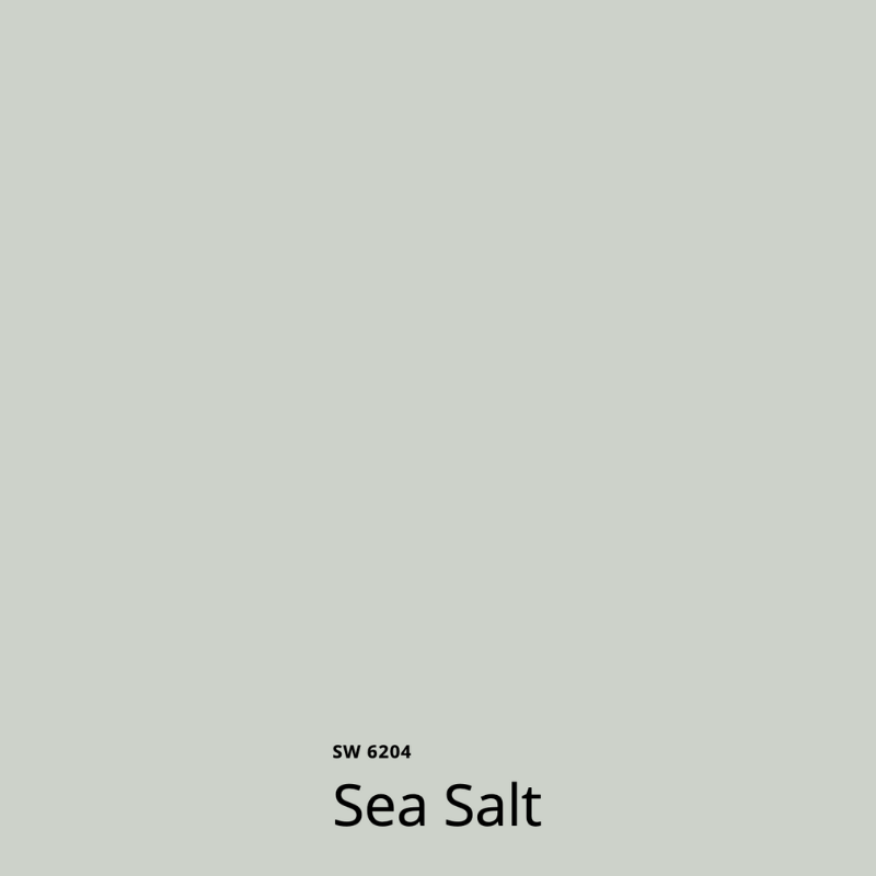 A Sherwin-Williams Sea Salt color swatch