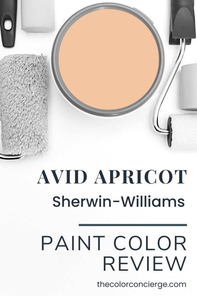 AVid Apricot paint color review