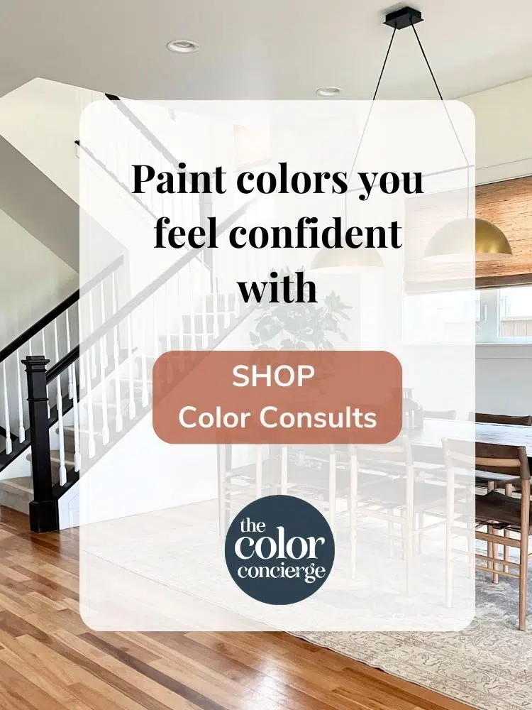 paint color consulting graphic