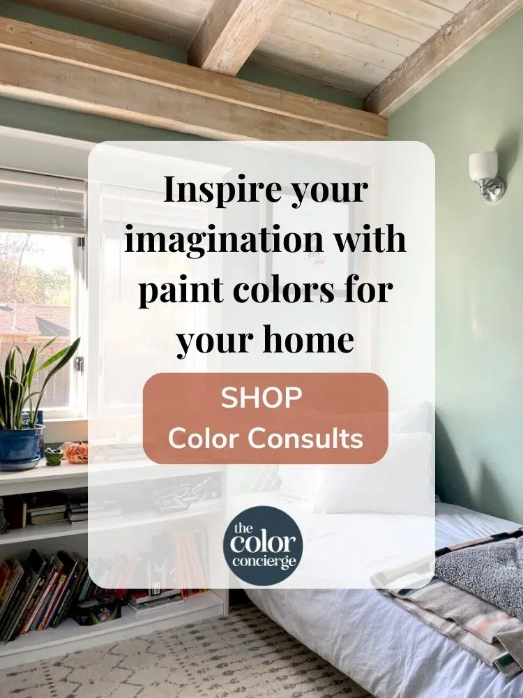 Shop Color Consults Graphic