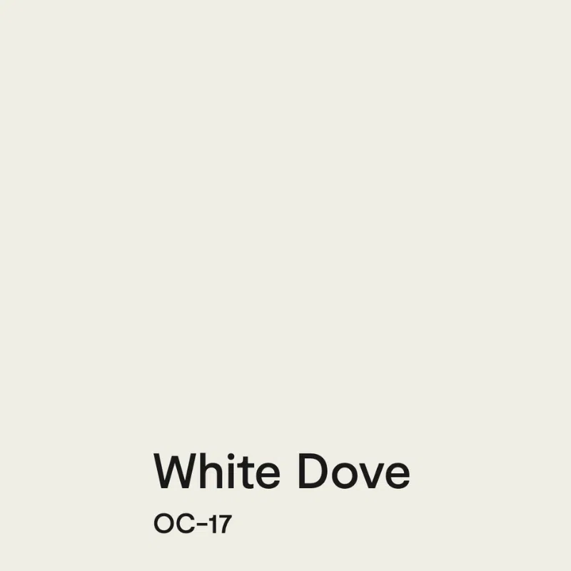 A swatch of BM White Dove paint