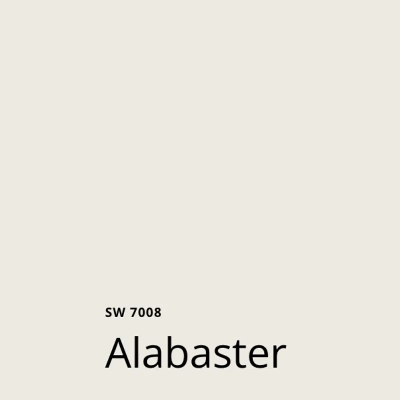 SW Alabaster Paint Swatch