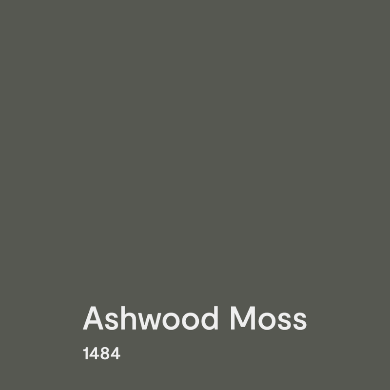 A swatch of BM Ashwood Moss paint