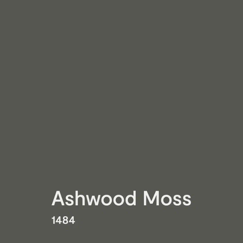 A swatch of BM Ashwood Moss paint