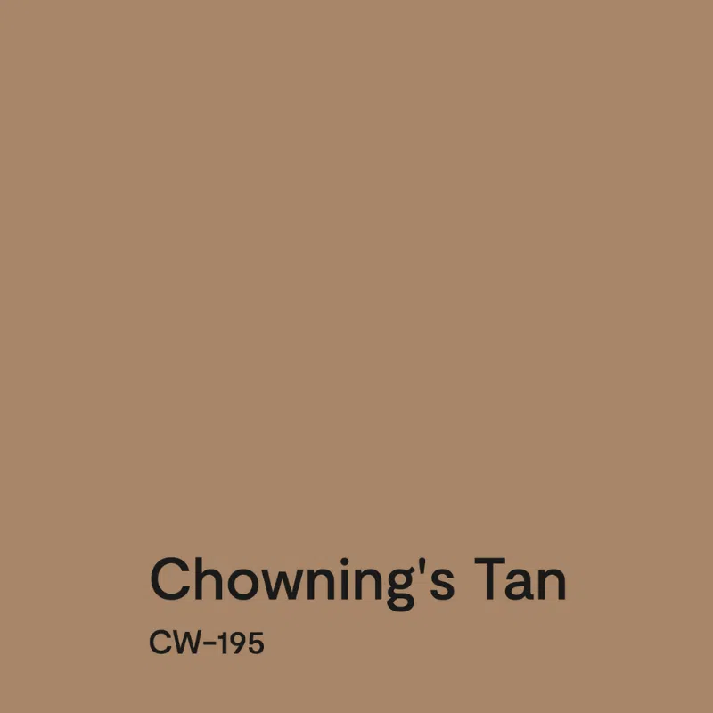 A swatch of BM Chowning's Tan paint