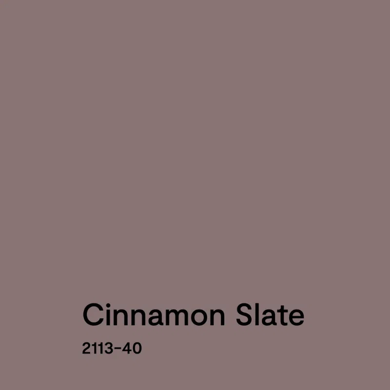 A swatch of 2025 Color of the Year Cinnamon Slate