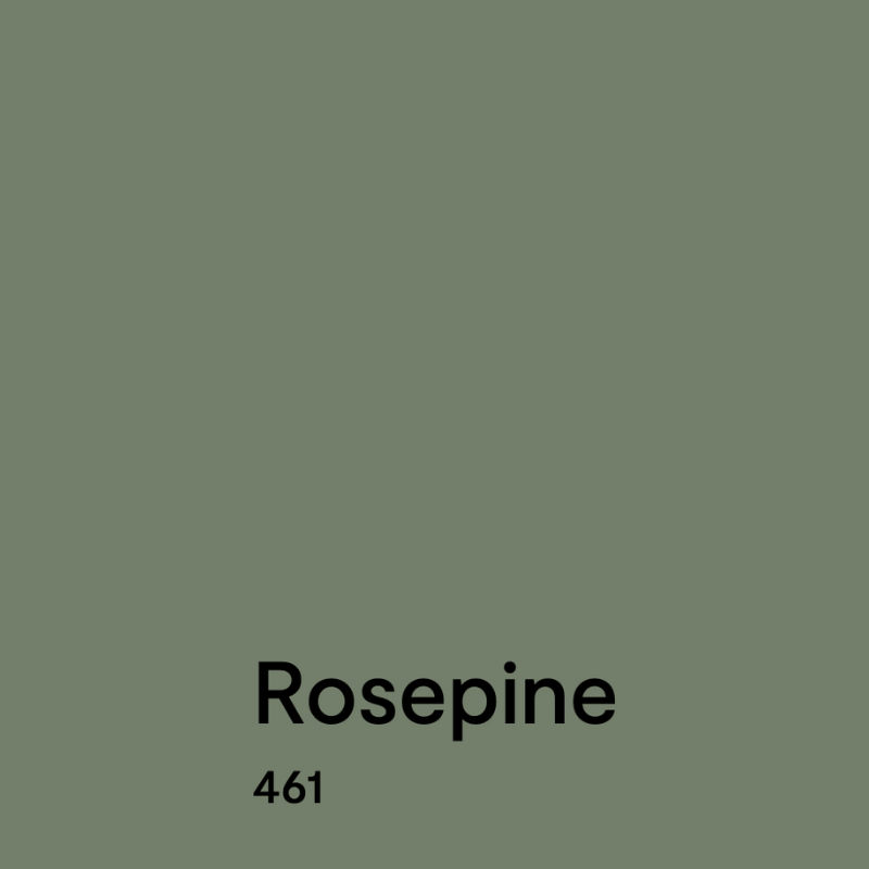 A swatch of BM Rosepine paint