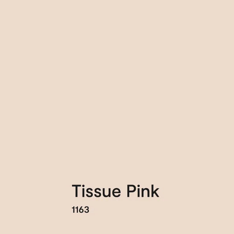 A swatch of BM Tissue Pink paint