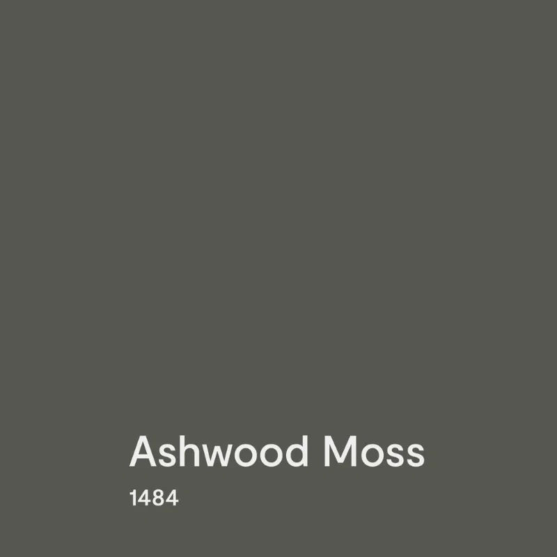 A swatch of Benjamin Moore Ashwood Moss exterior paint