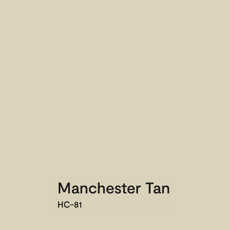 a swatch of BM Manchester Tan, one of the best neutral paint colors for 2025