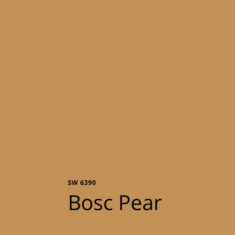 A swatch of Sherwin-Williams Bosc Pear paint, part of the Sherwin-Williams 2025 Color of the Year Capsule