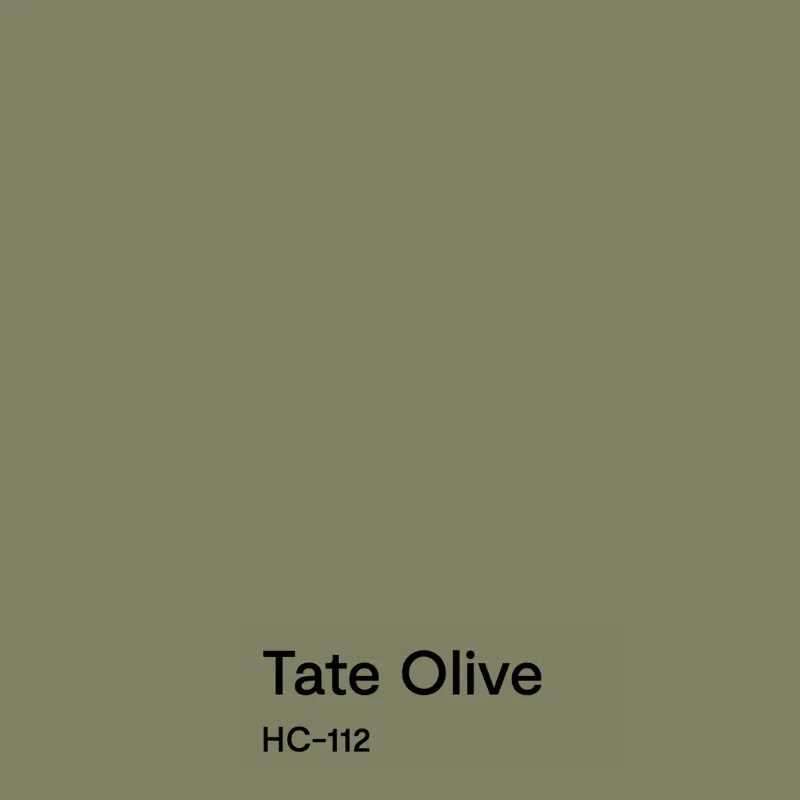 A swatch of BM Tate Olive paint.