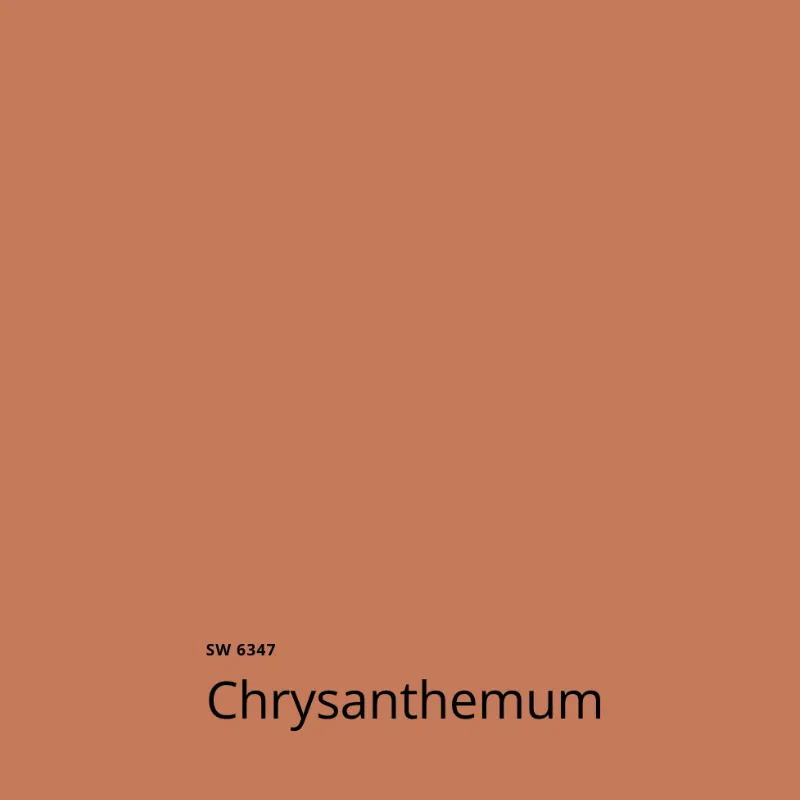 SW Chrysanthemum