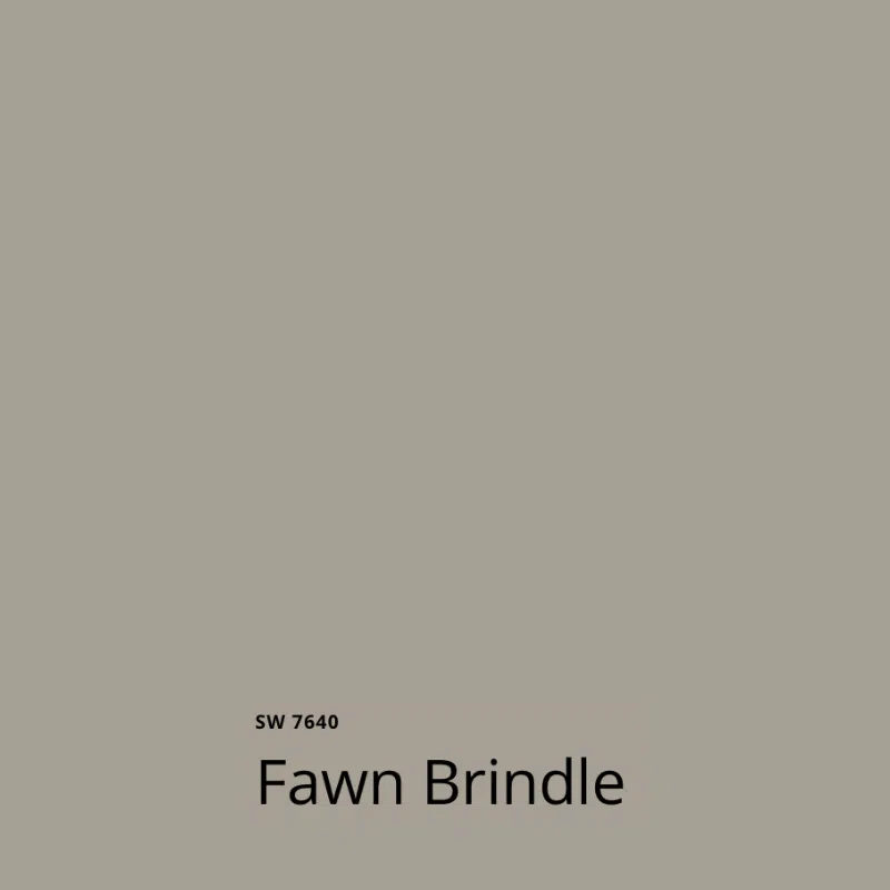 SW Fawn Brindle swatch