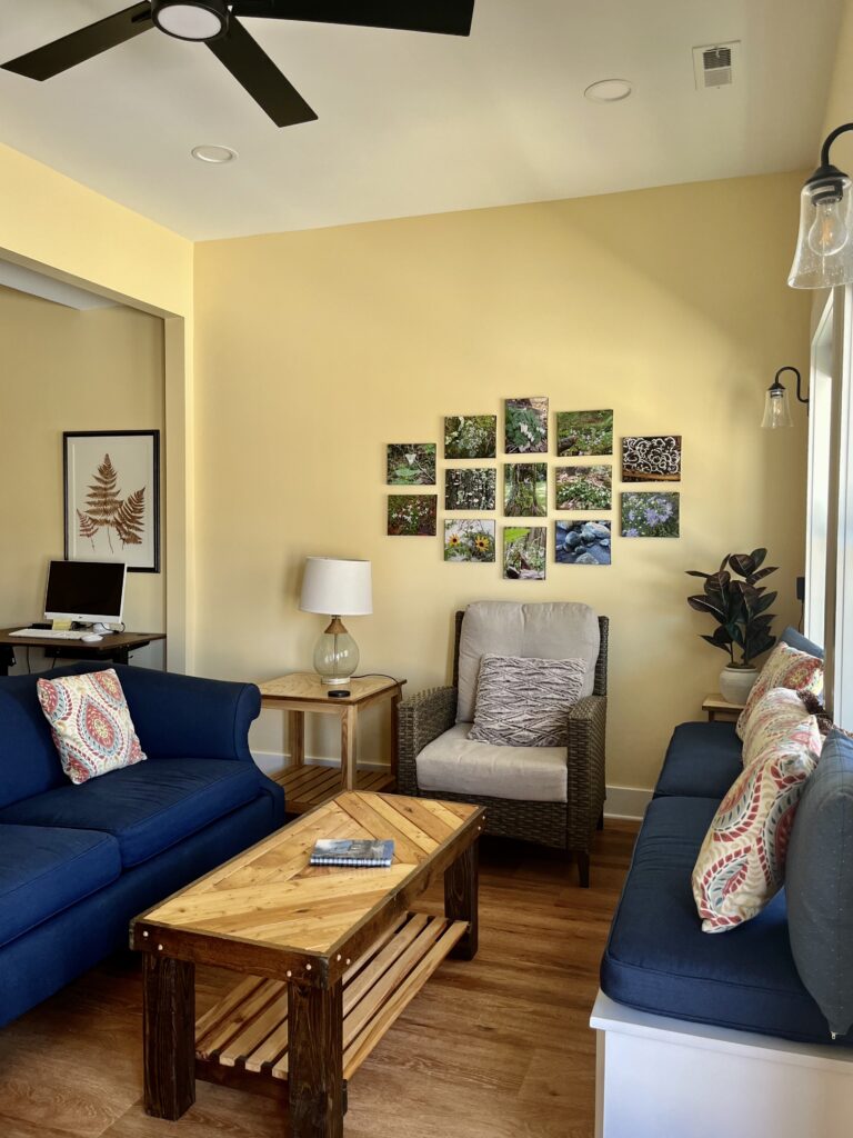 A living room painted with BM Cornsilk.