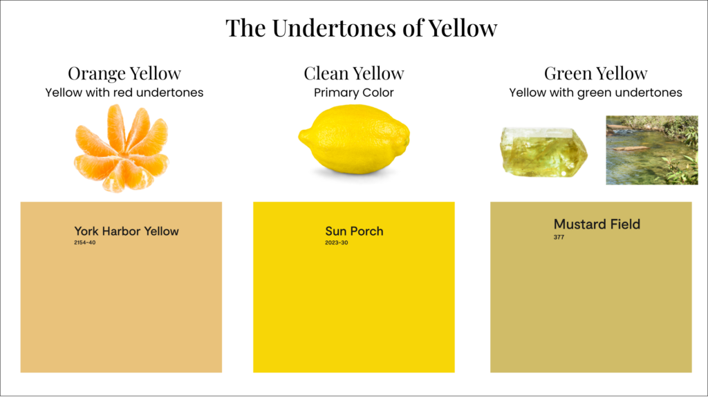 images exploring the undertones of yellow paint