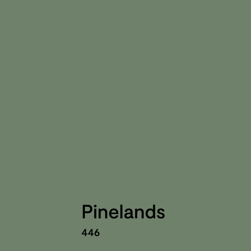 A swatch of BM Pinelands paint
