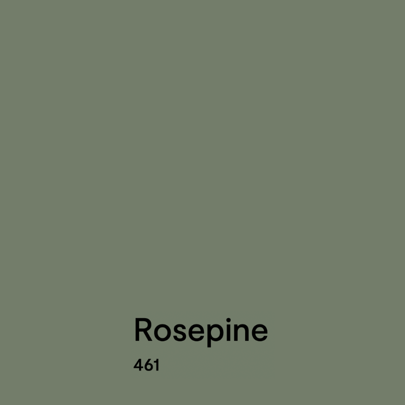 A swatch of Benjamin Moore Rosepine paint, one of the best green paint colors